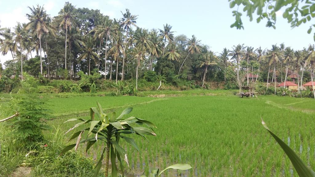 Pondok Tulasi Semaya House Gianyar  Bagian luar foto